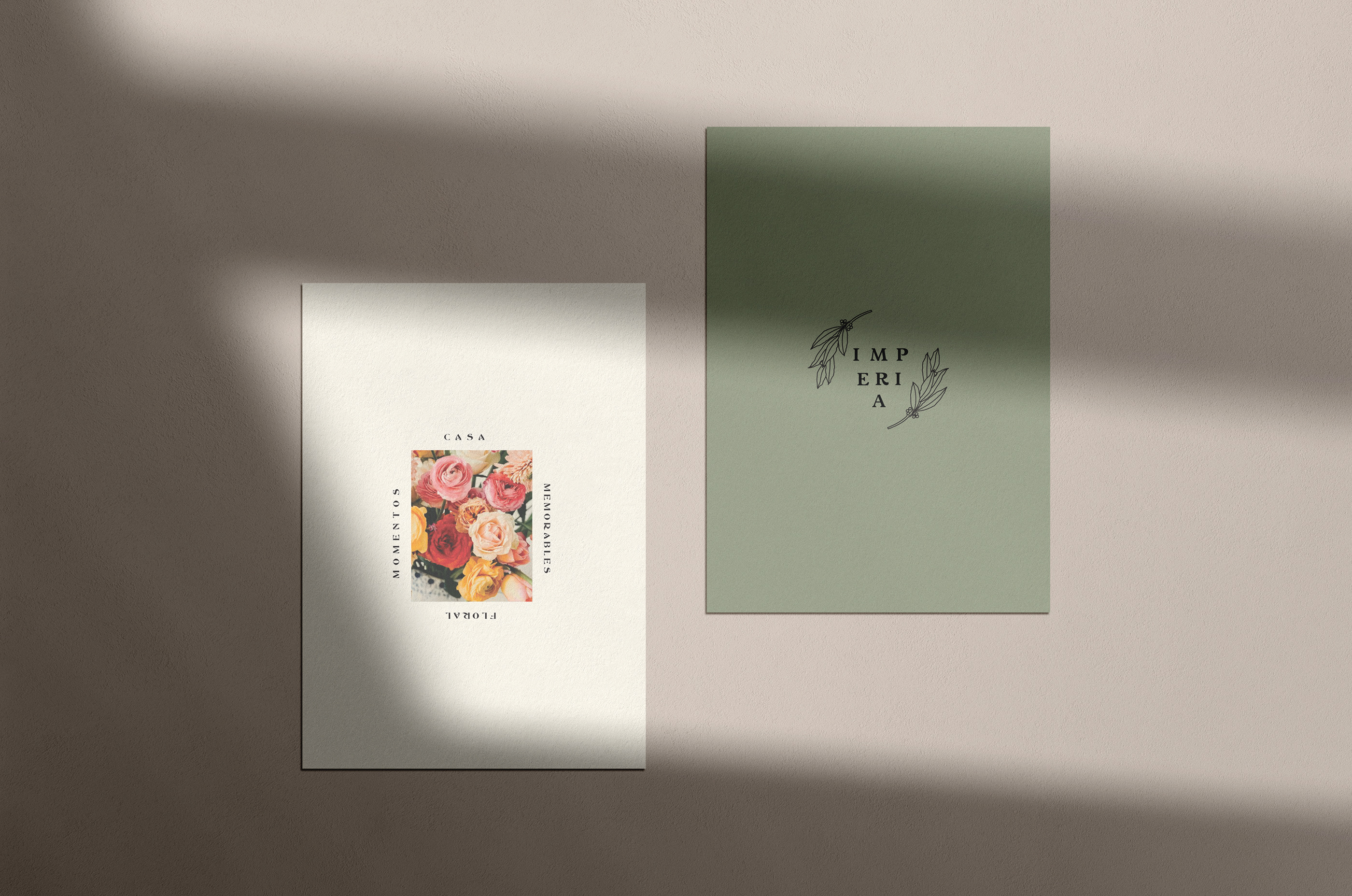 鲜花店墨西哥插画品牌包装文具女性自然-06.jpg