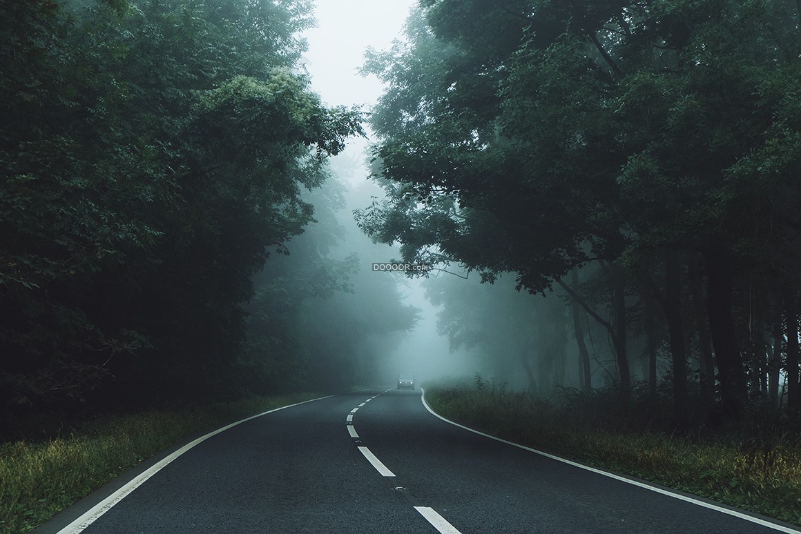 08523_清晨林间公路车流稀少树木苍翠淡淡的雾蔼清新自然.jpg