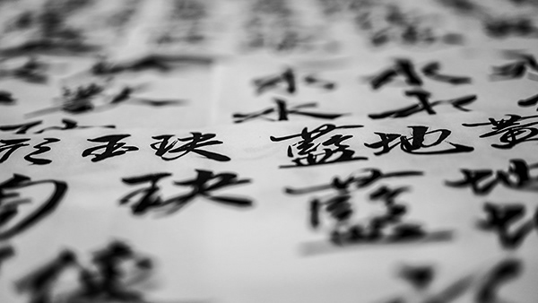 世博台湾珍宝影-01.jpg