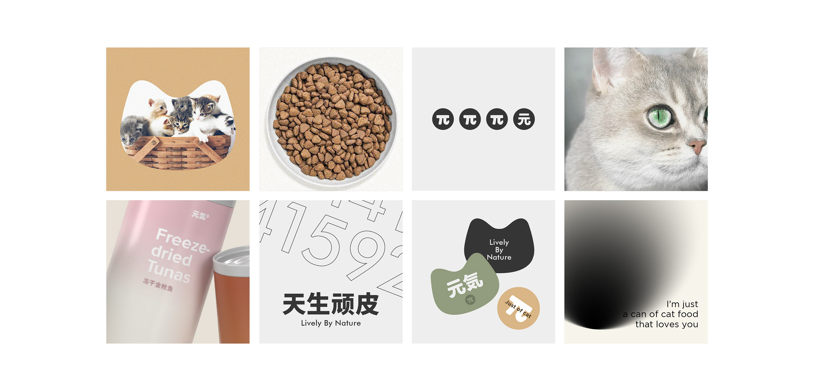 元气π品牌设计方案-02.jpg