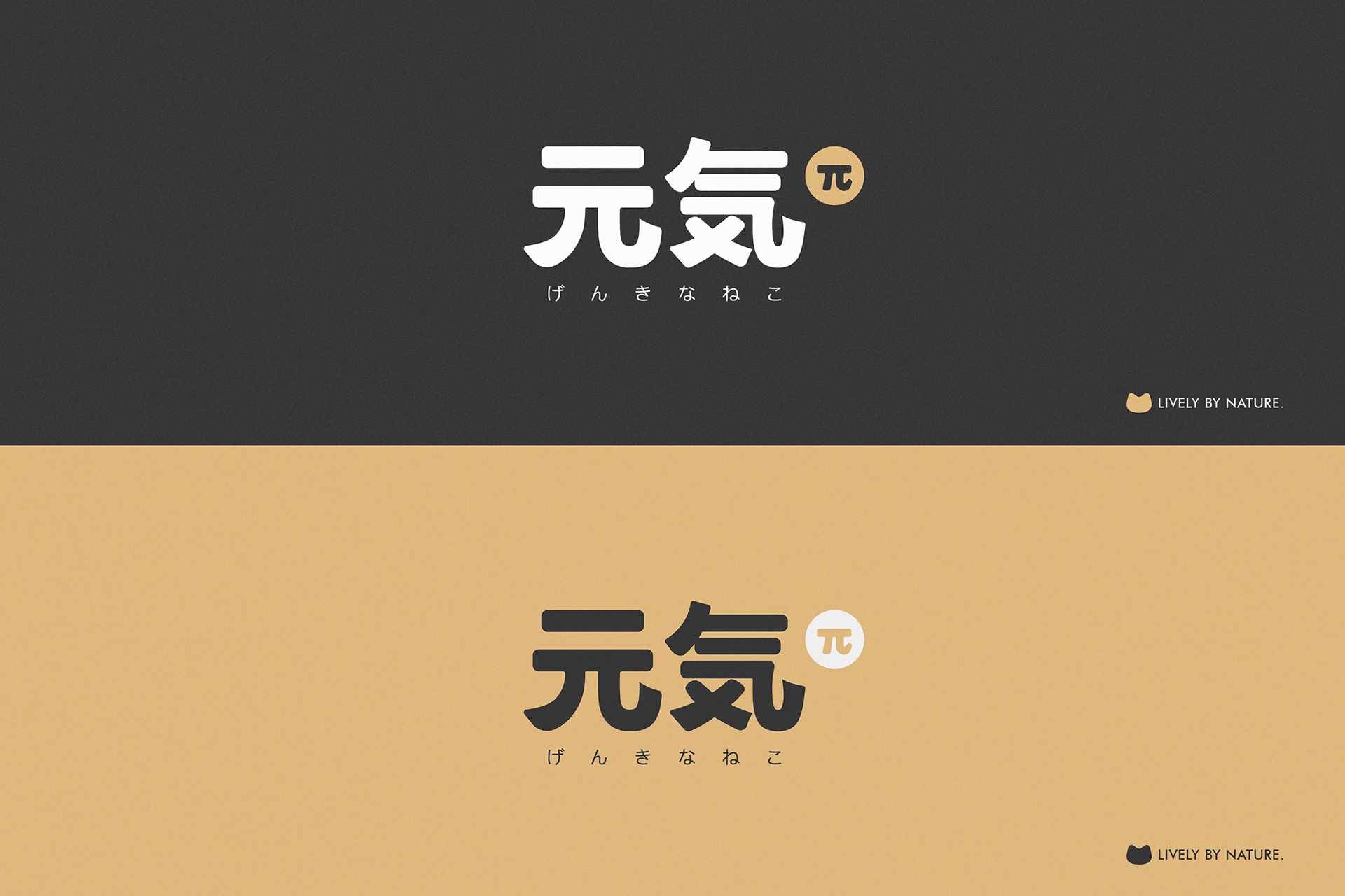 元气π品牌设计方案-01.jpg