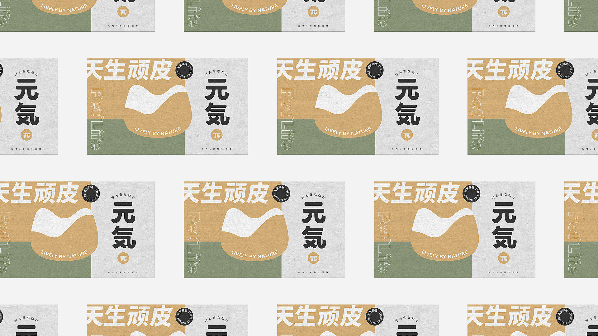 元气π品牌设计方案-03.jpg