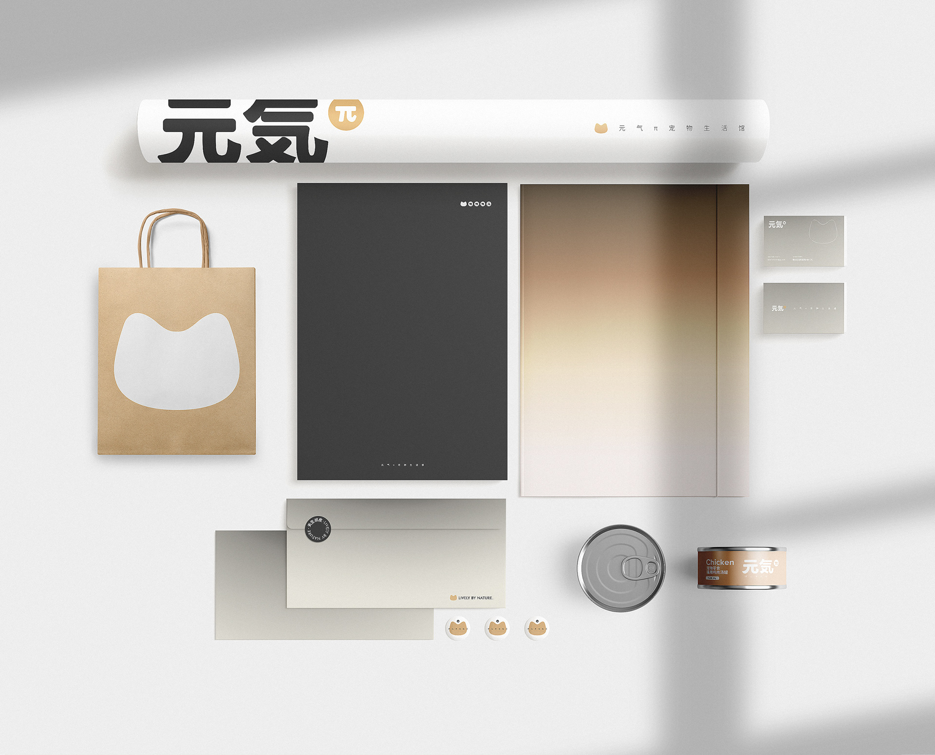 元气π品牌设计方案-12.jpg
