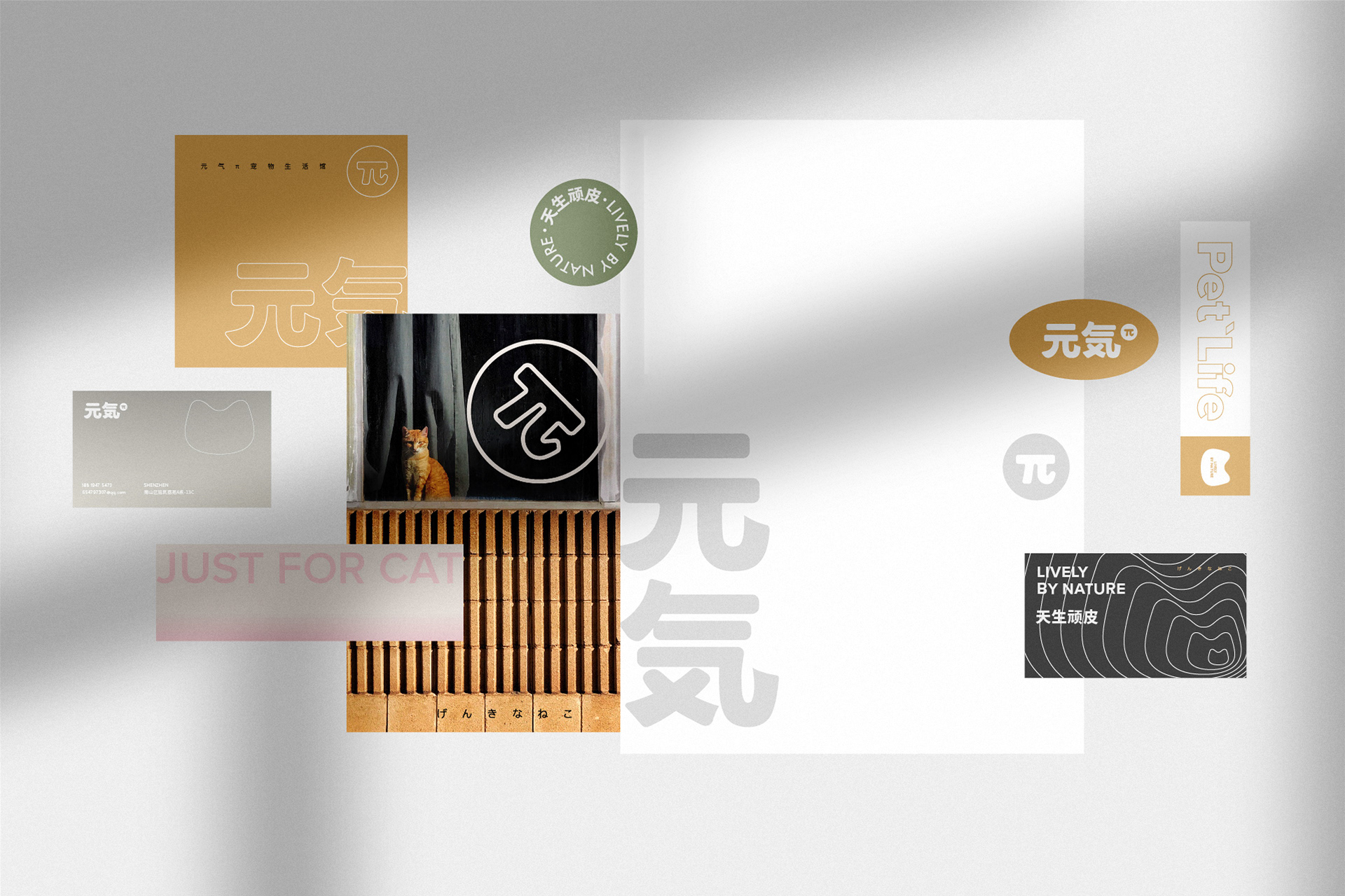 元气π品牌设计方案-15.jpg