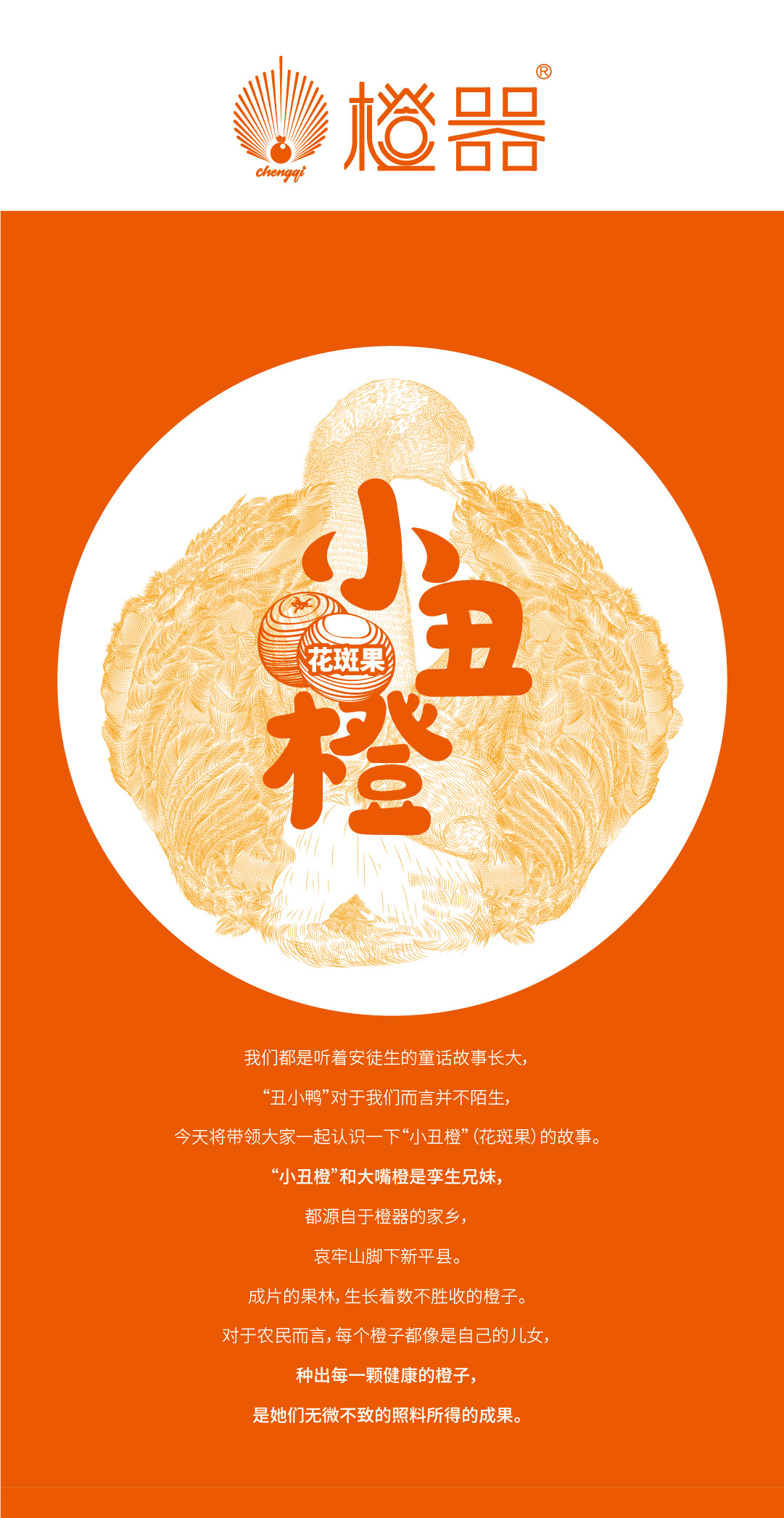 花斑果-01.jpg
