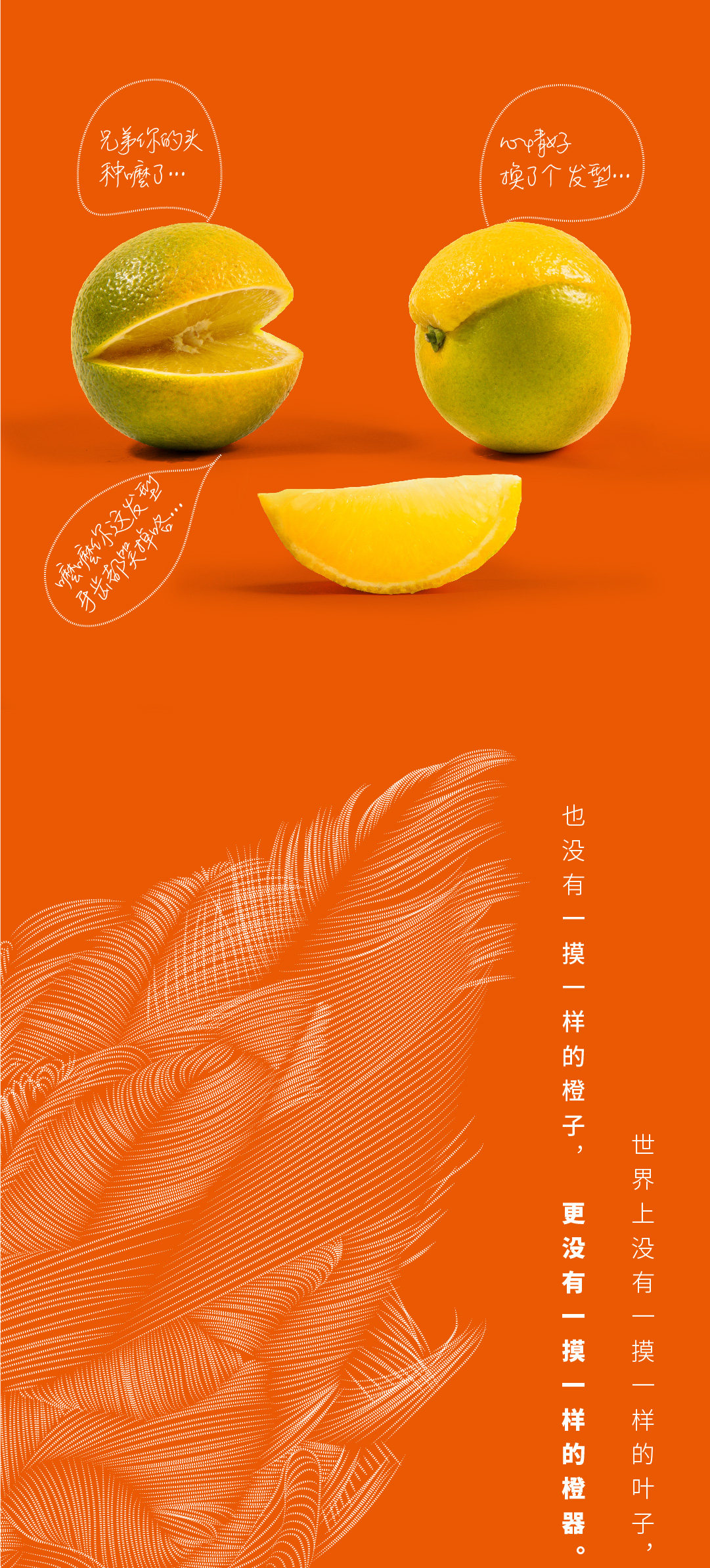 花斑果-02.jpg