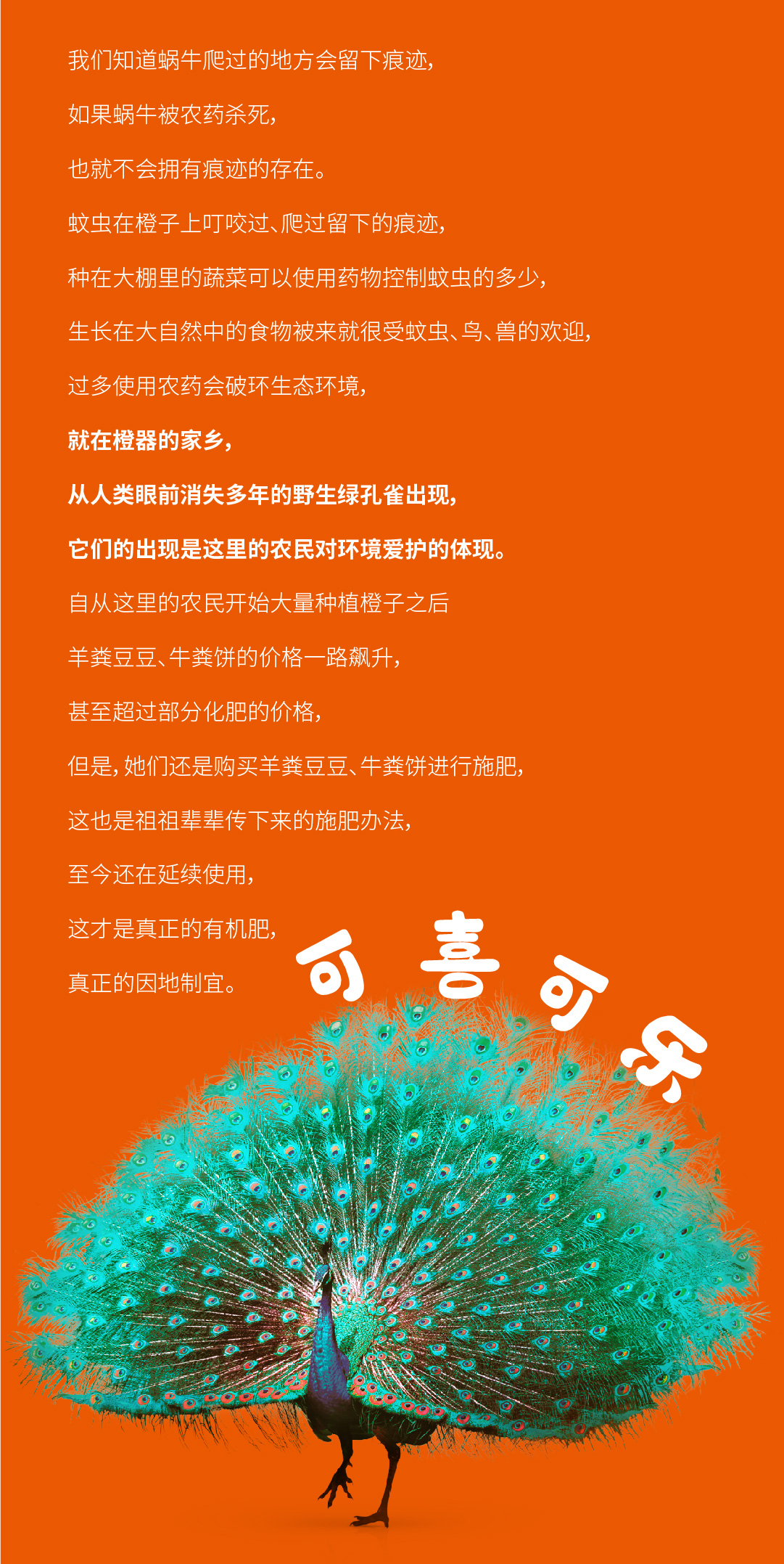 花斑果-05.jpg