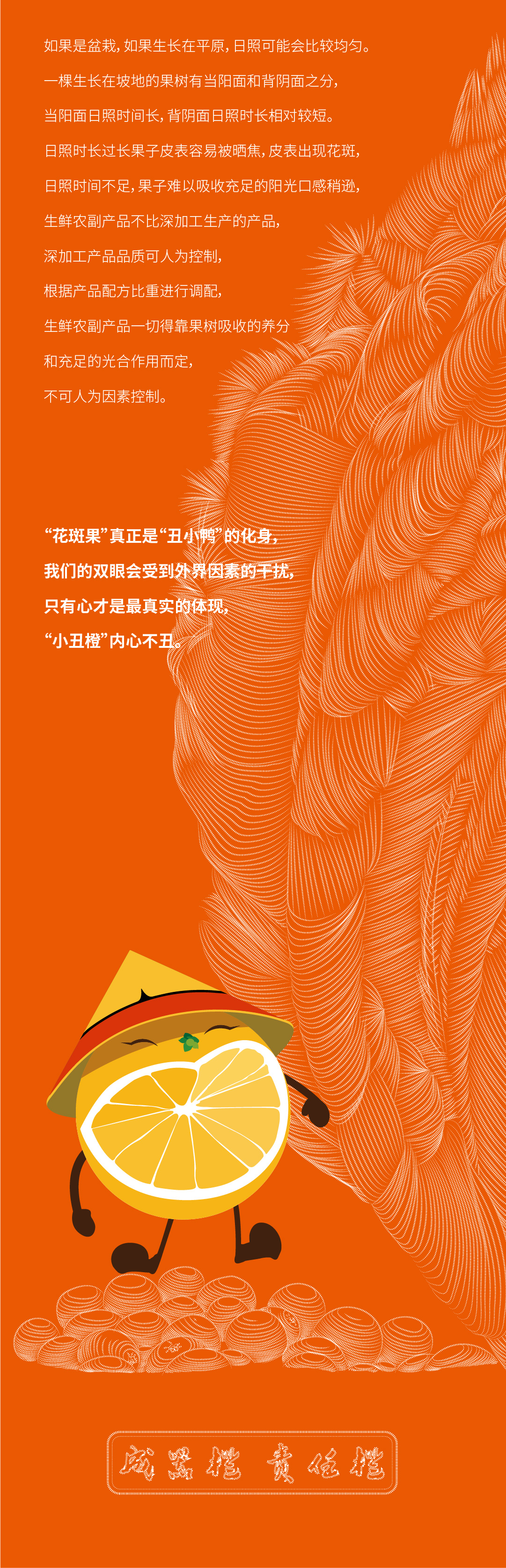 花斑果-06.jpg