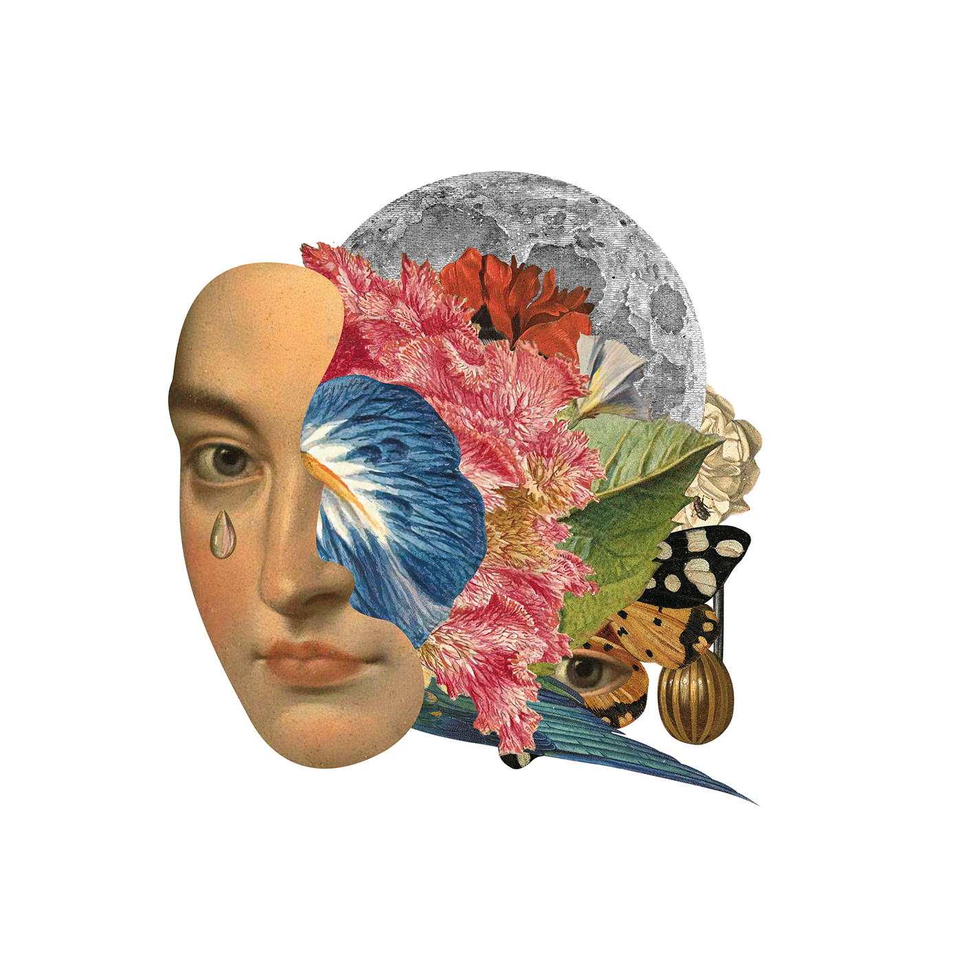 一些精美的小插画-墨西哥-Eduardo Ramón [21P] (3).png
