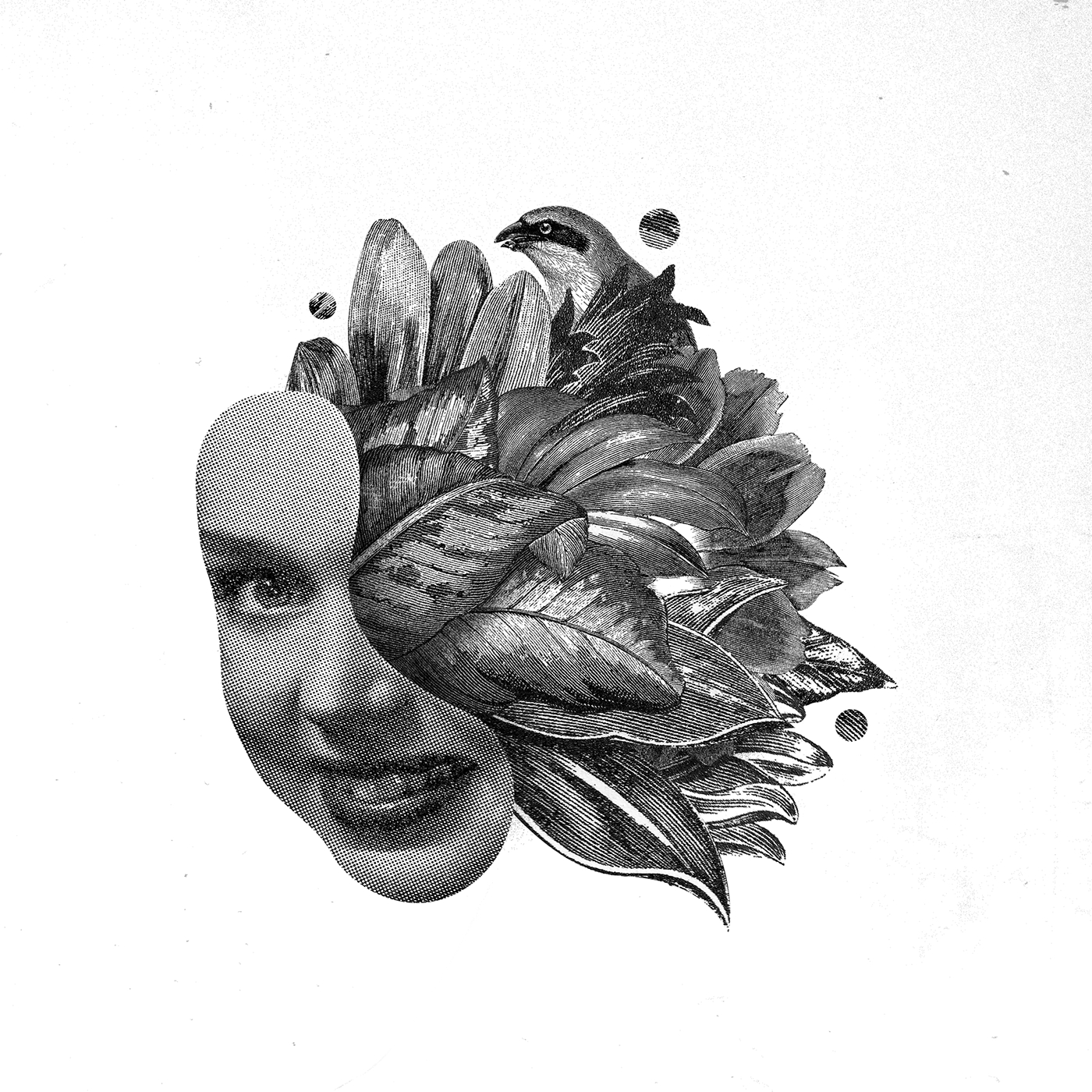 一些精美的小插画-墨西哥-Eduardo Ramón [21P] (8).png