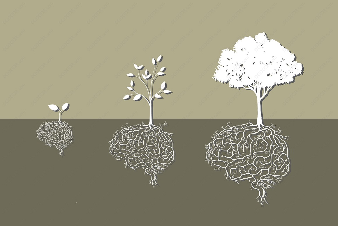 植物根系对比根系逐渐发达人类大脑图案植物插画矢量素材 矢量素材 手机版 Powered By Discuz