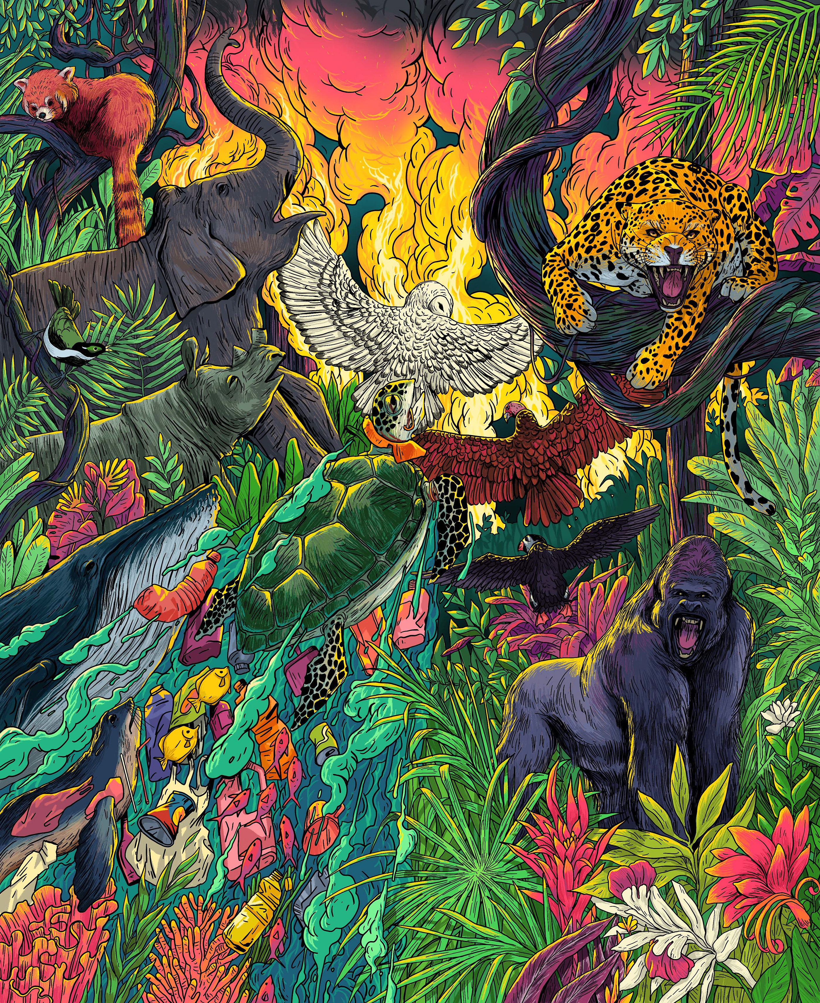 咖啡花插画禁闭养生植物萨吉德待在家里-15.jpg