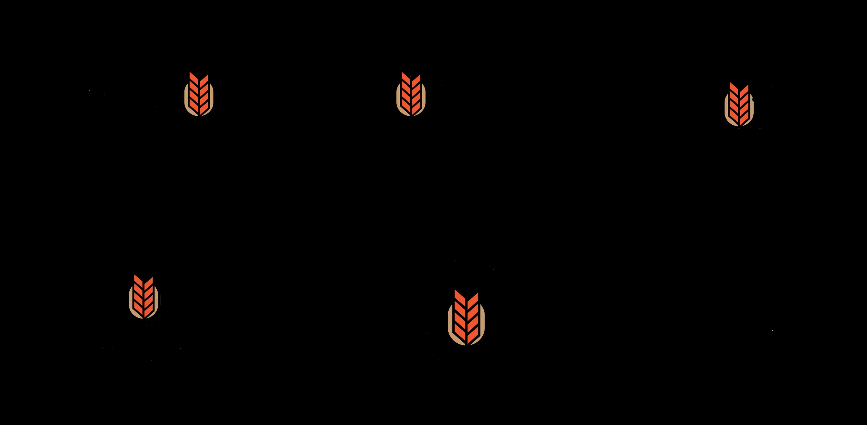 Trigor命名与视觉标识-02.jpg