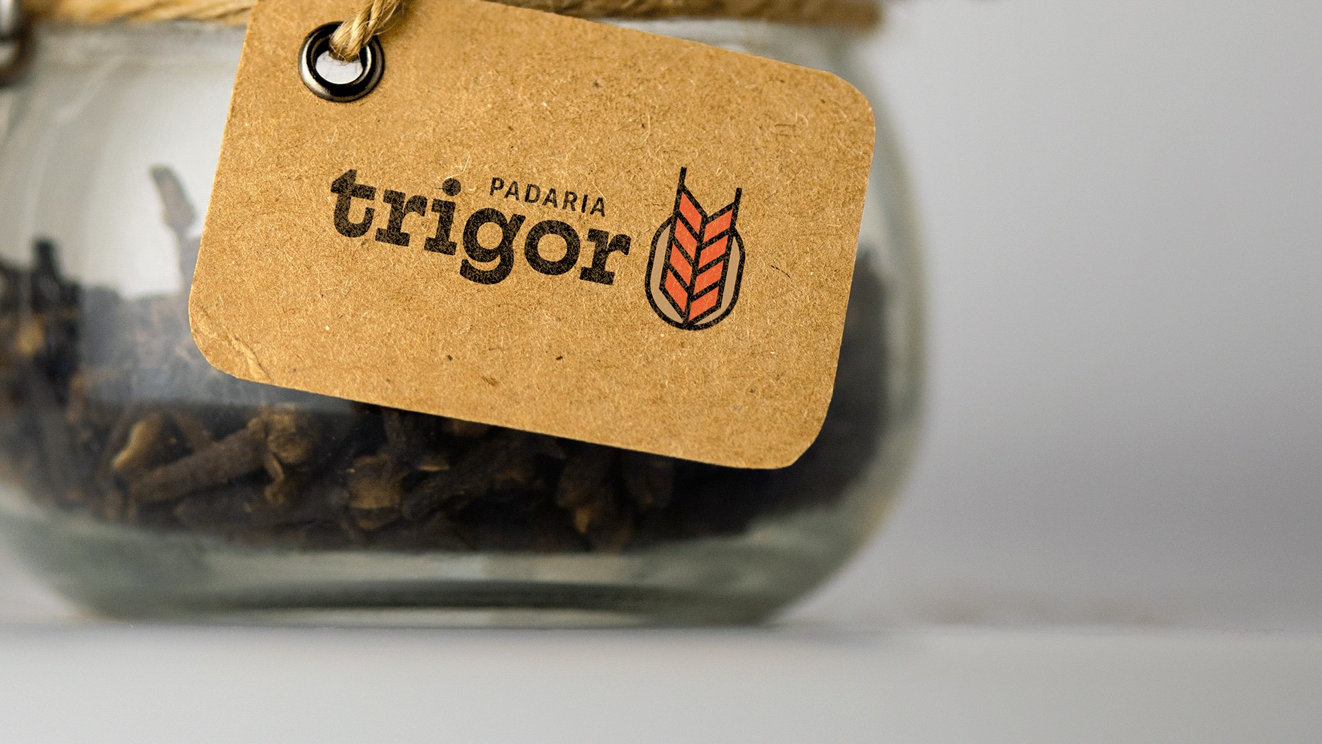 Trigor命名与视觉标识-10.jpg