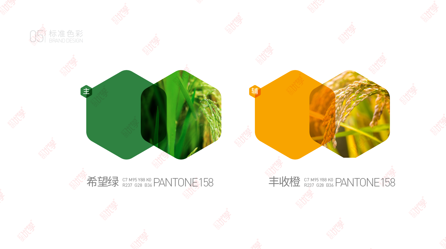 微信图片_20210130152358.png