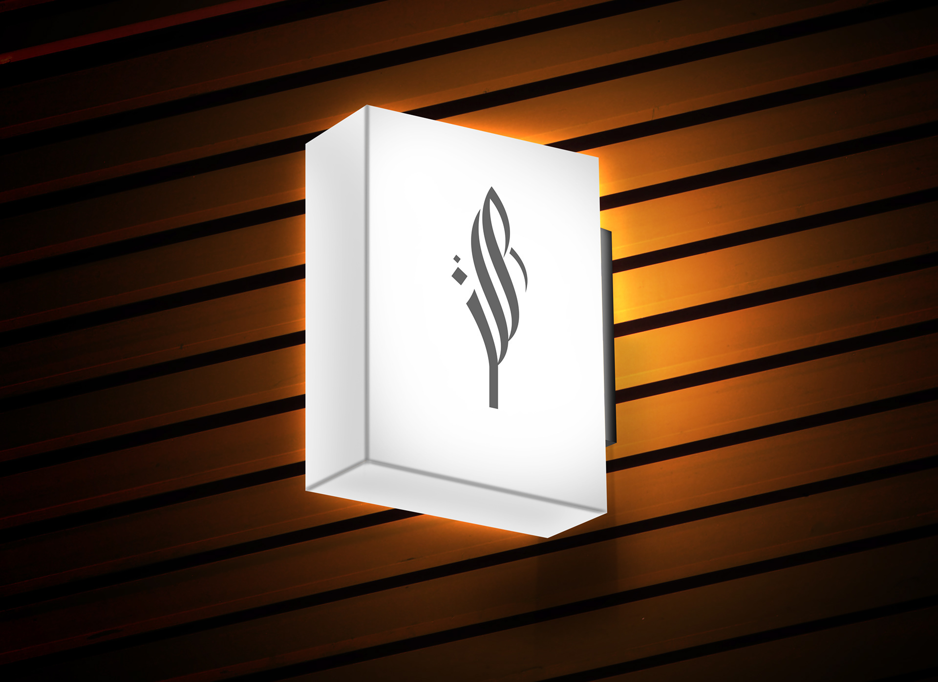 RUXAVIE Logo Branding on Behance-3.jpg