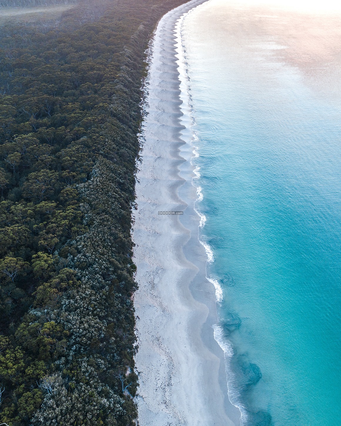 09393_海边沿岸海水清澈绿色的丛林.jpg