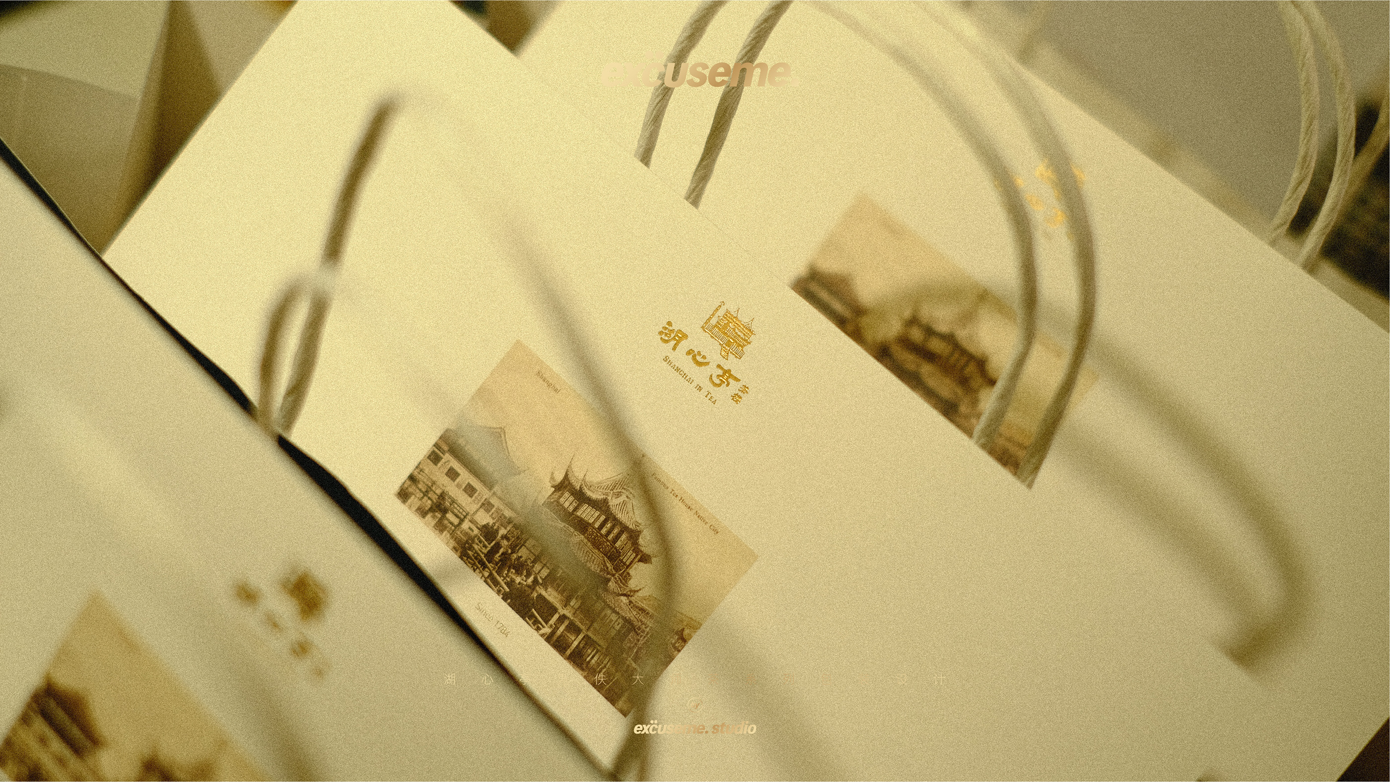 湖心亭鳧佚大师茶系列包装设计-20.jpg