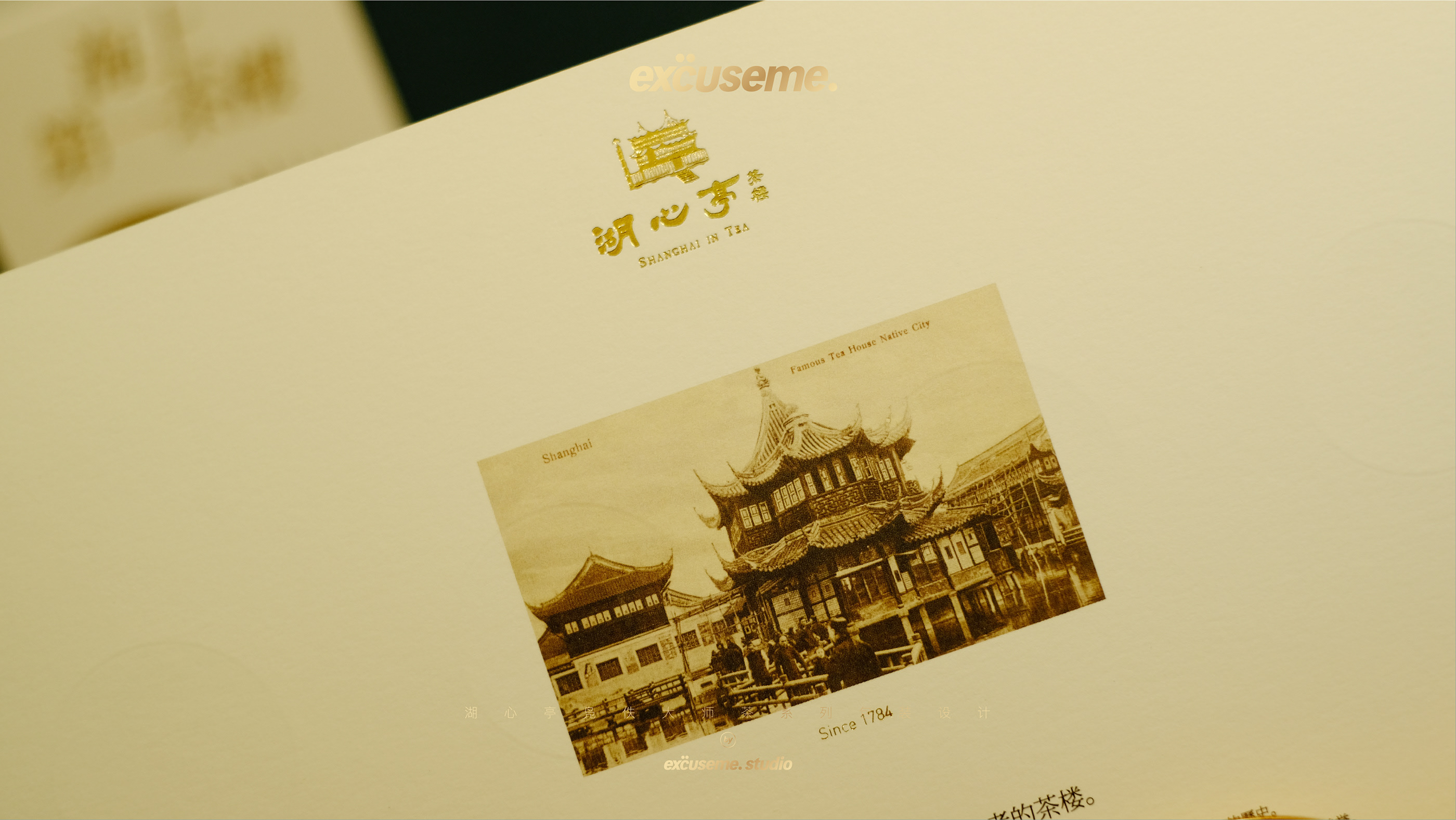 湖心亭鳧佚大师茶系列包装设计-21.jpg