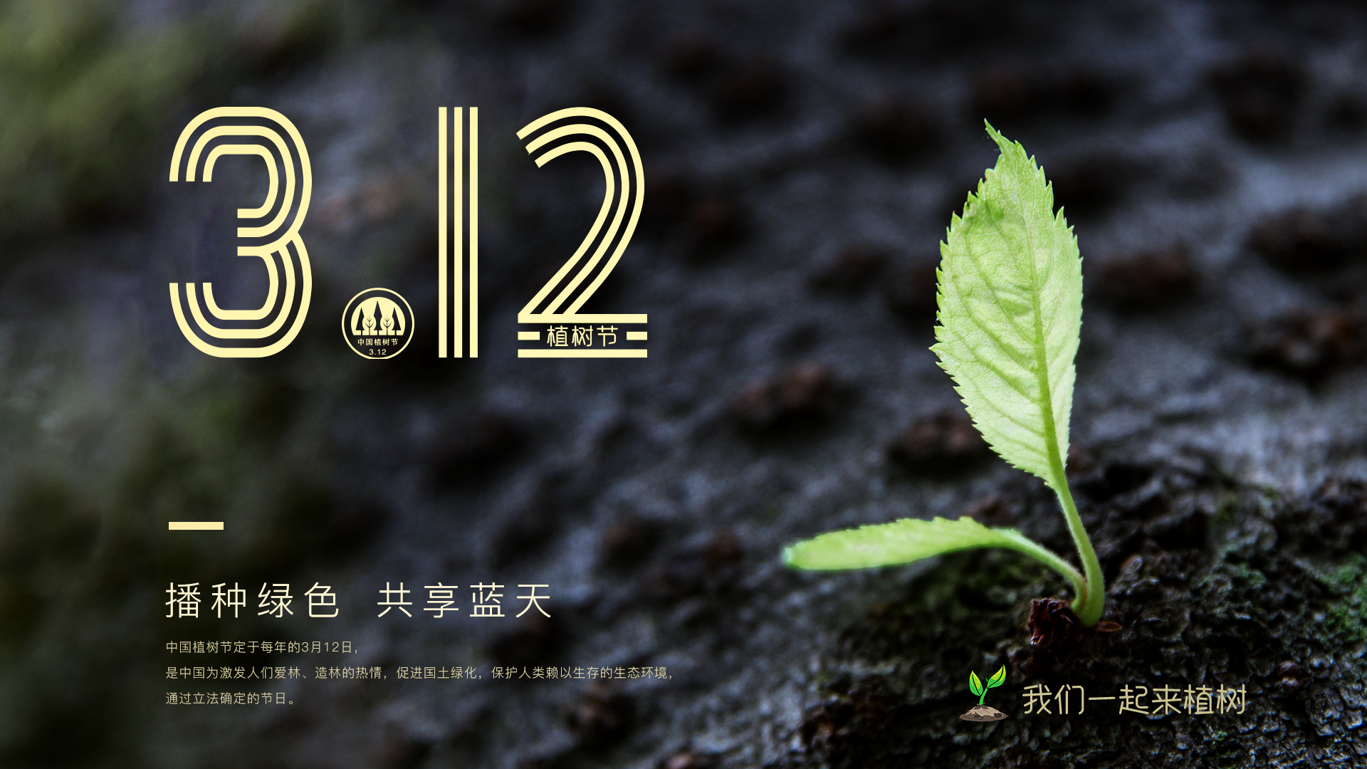 植树节_1.png