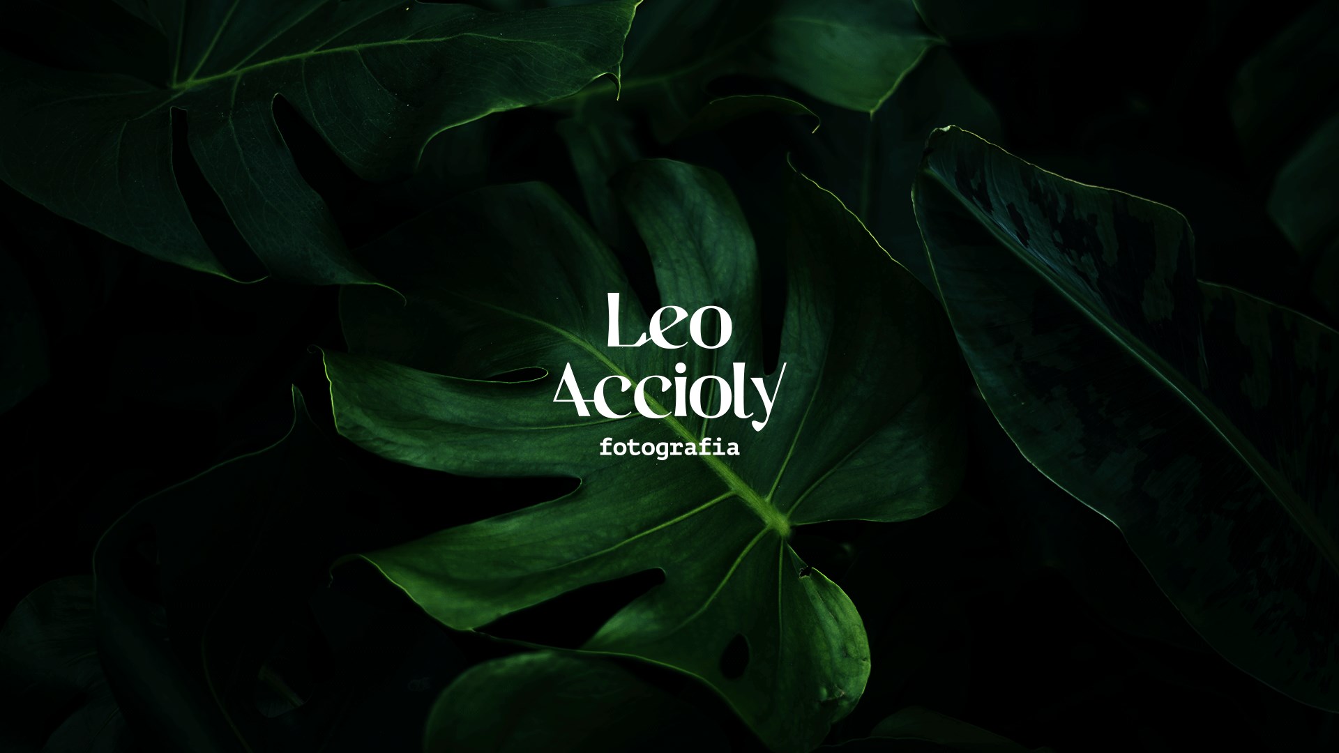 LEO Accioly-视觉身份-06.jpg