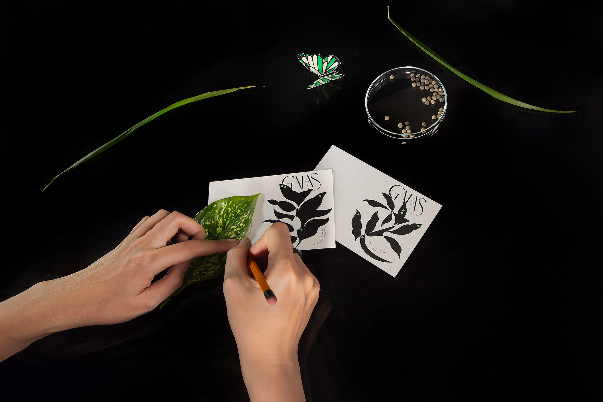 品牌设计花园园艺形象植物-13.jpg