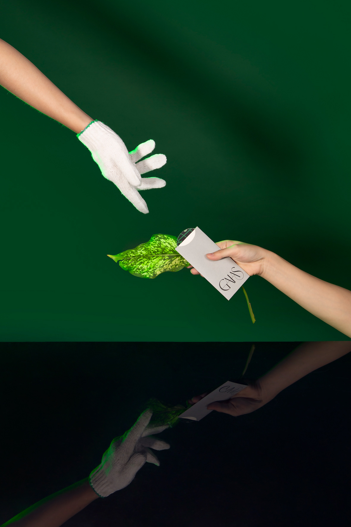 品牌设计花园园艺形象植物-24.jpg