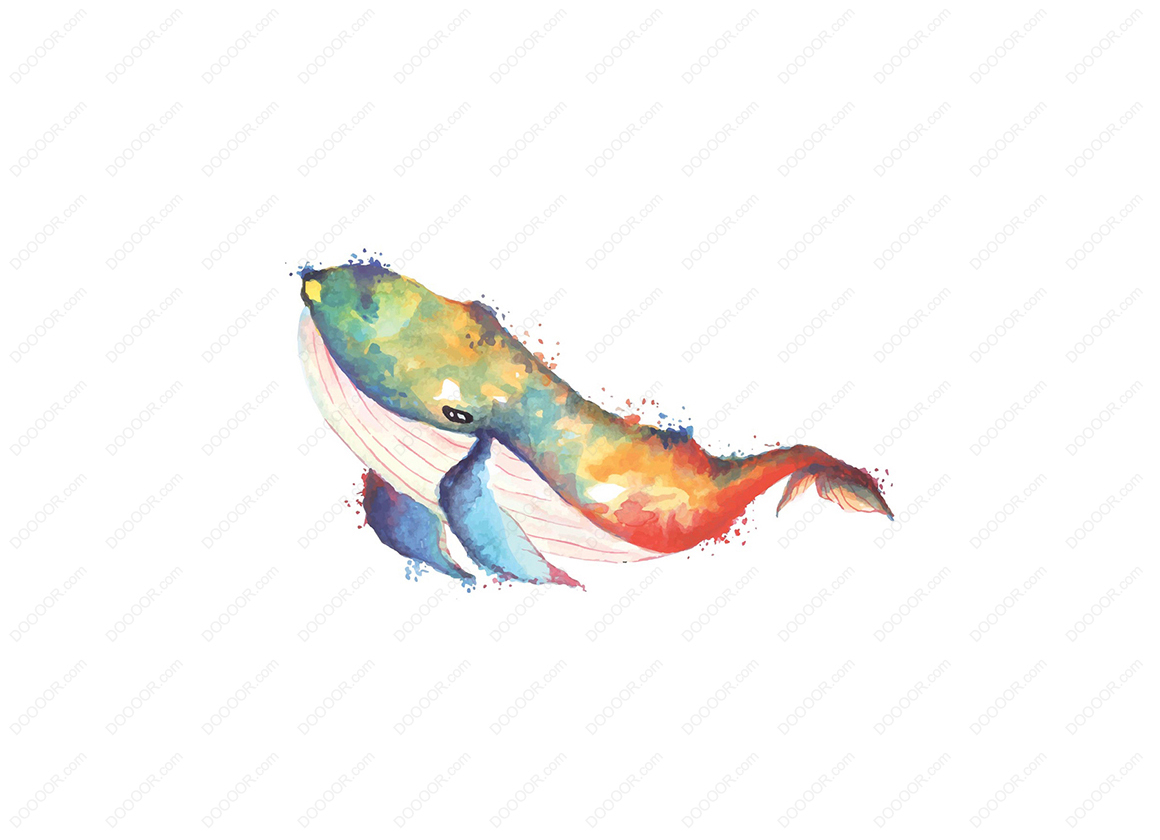 01526_鲸鱼水彩绘画色彩学矢量插画素材海洋生物.jpg
