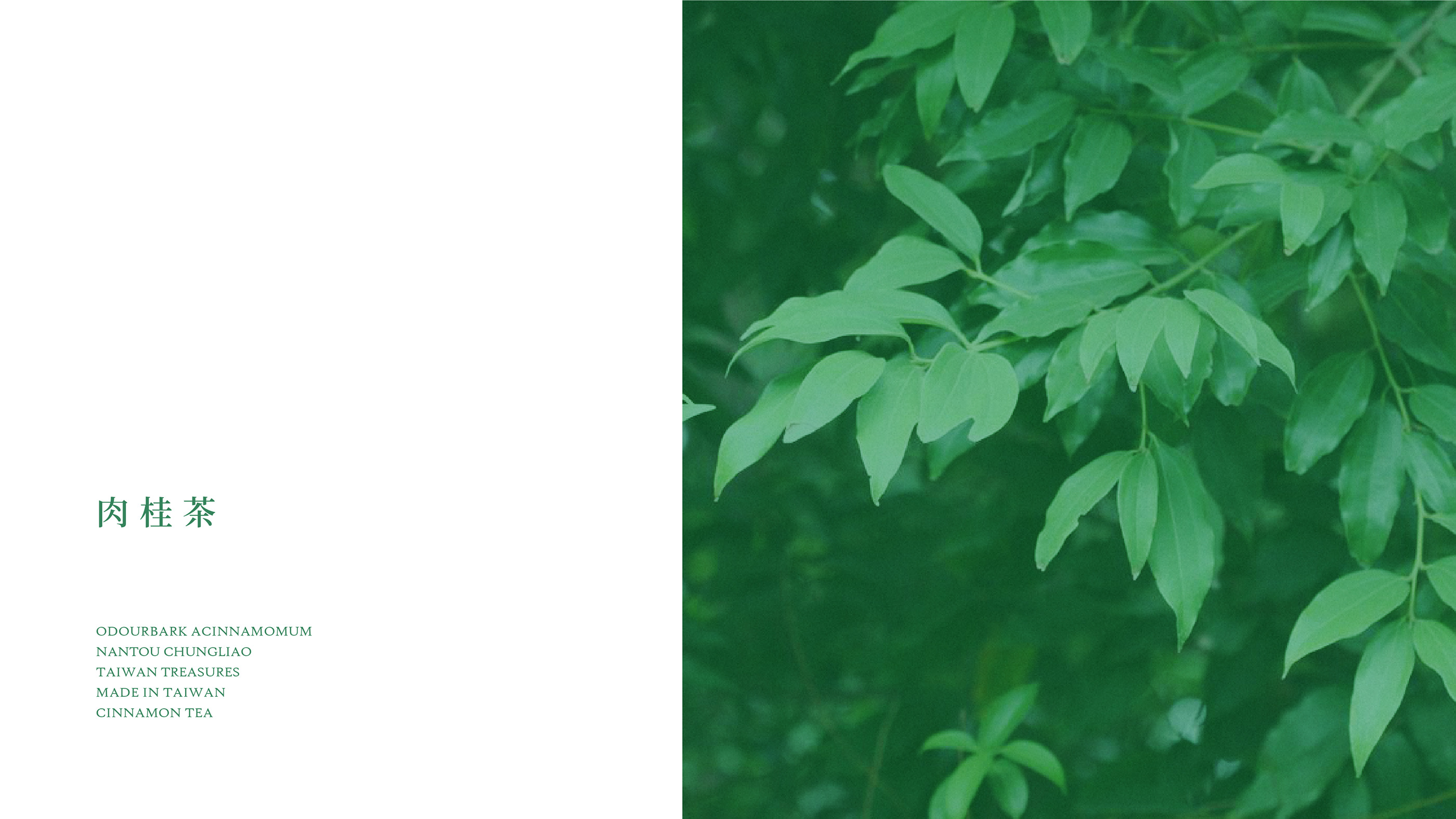 神嗓土肉桂茶包裝設計-03.jpg