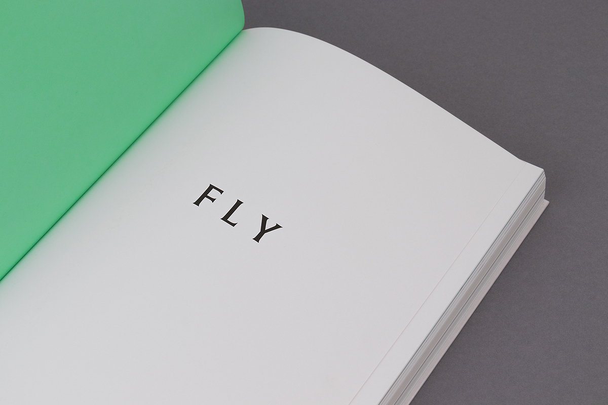 F L Y-11.jpg