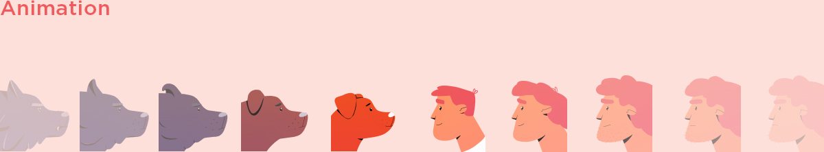 2D动画CEL动画插图运动设计动画解释狗解释PET-6.jpg