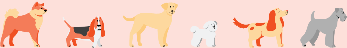 2D动画CEL动画插图运动设计动画解释狗解释PET-8.gif
