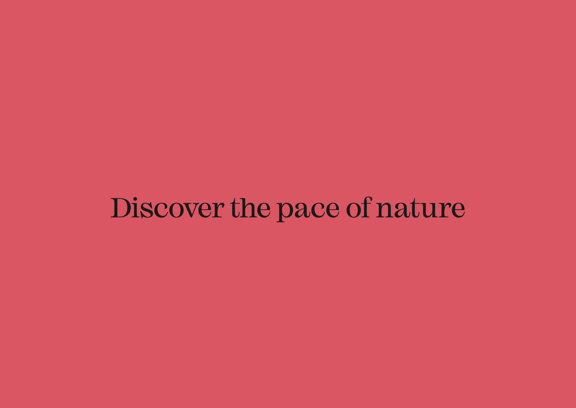image (3).jpg