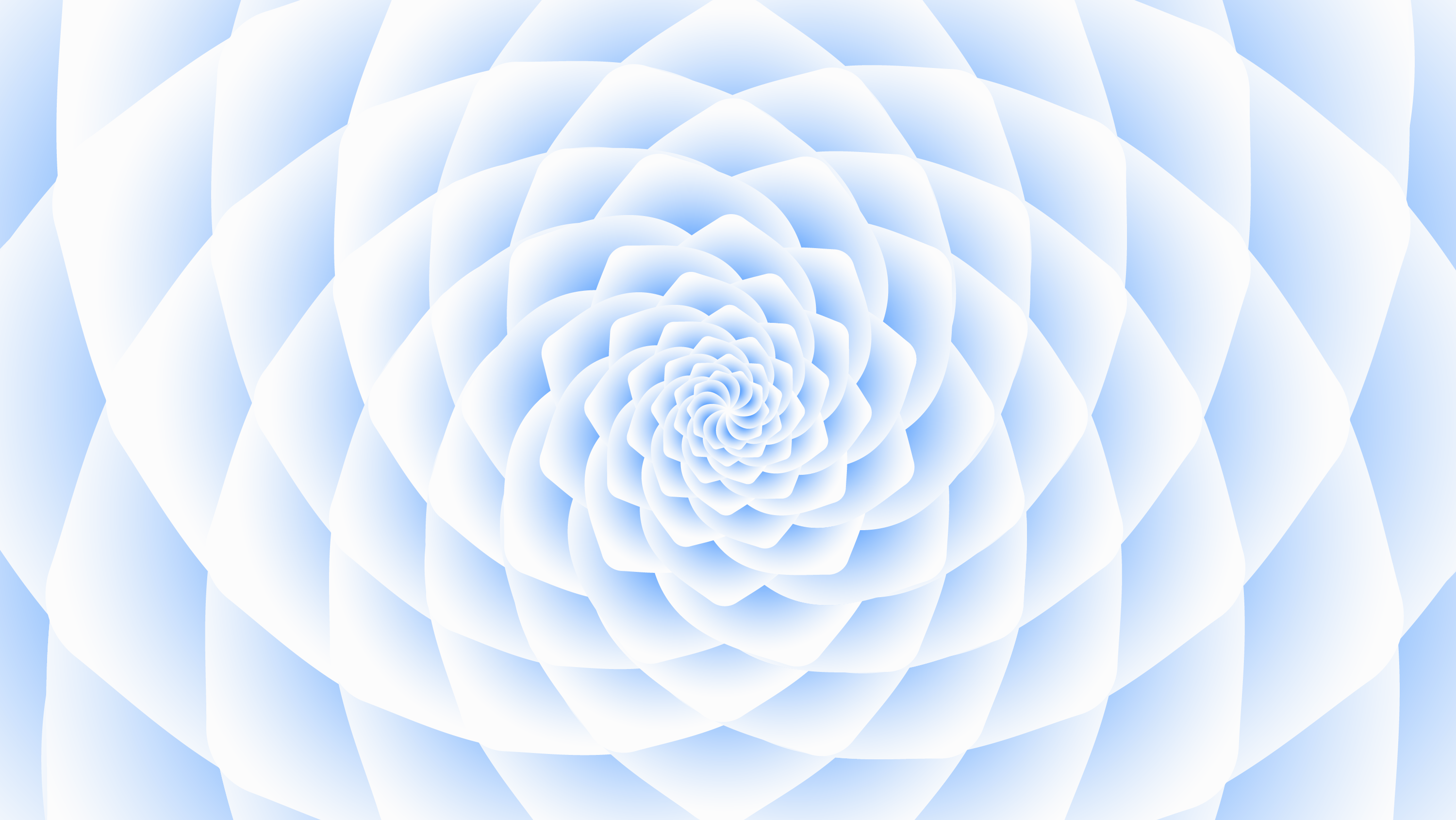 1.png