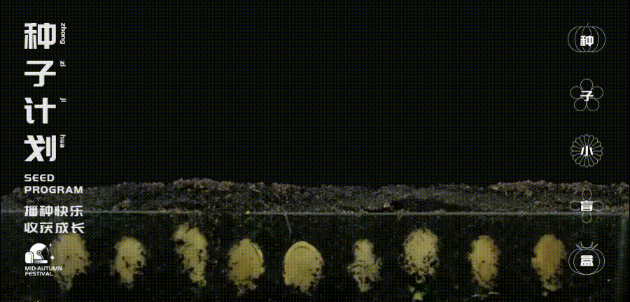 星月计划站酷2_03.gif