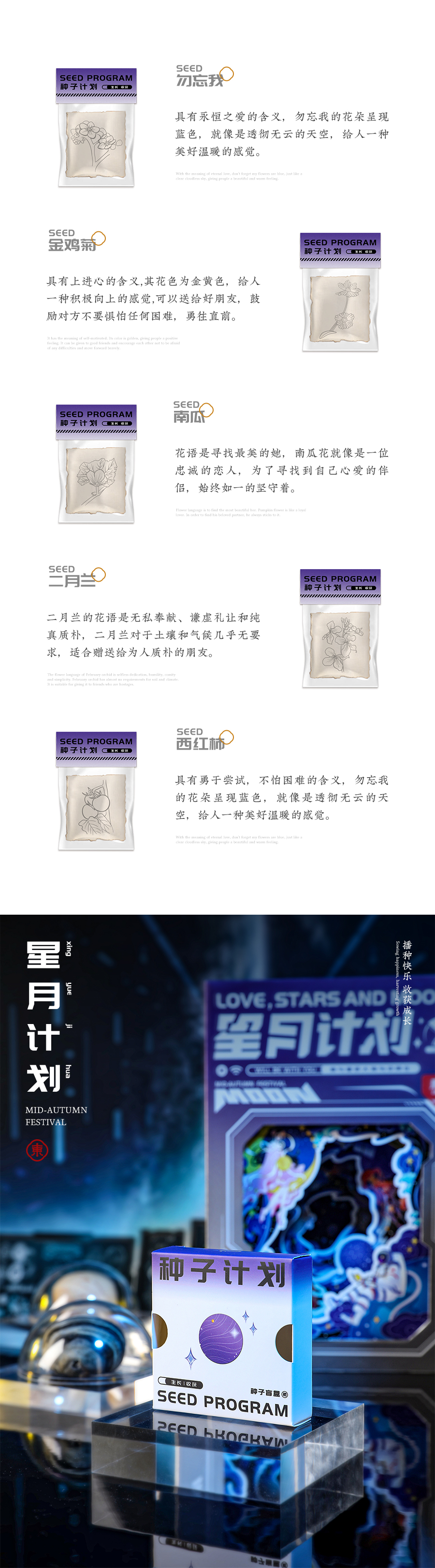 星月计划站酷2_05.jpg