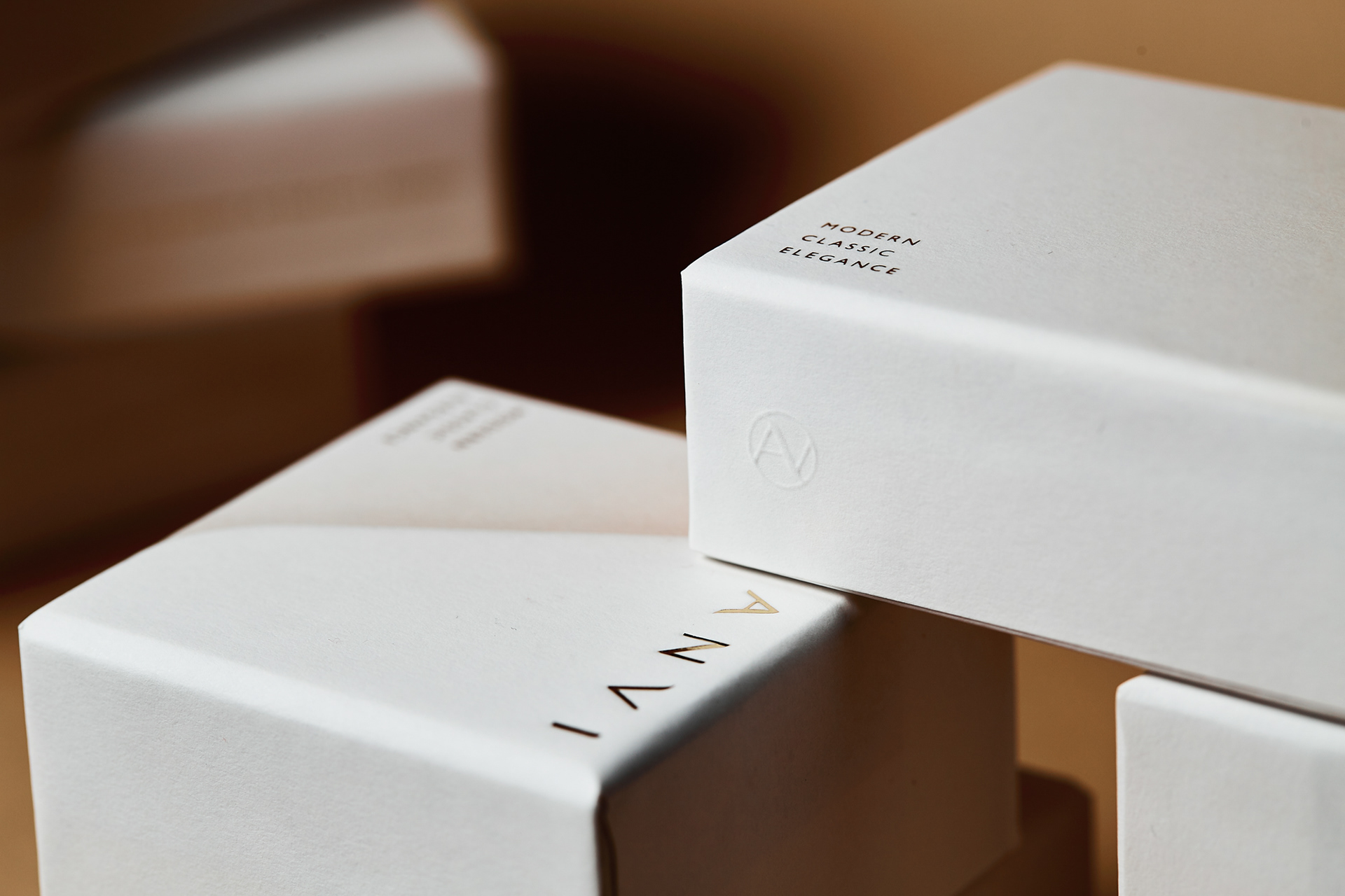 anvi-04.jpg