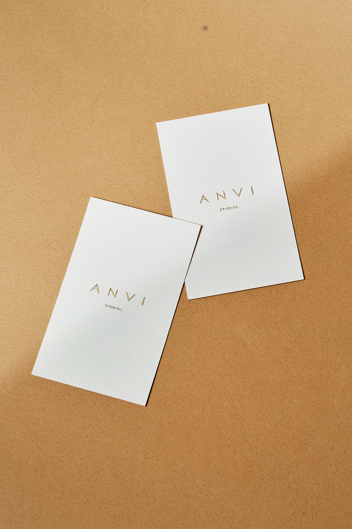 anvi-14.jpg