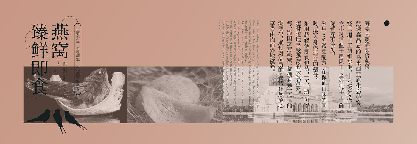 燕窝礼盒包装设计 威海-SAGE 尚智包装设计 [13P] (2).jpg