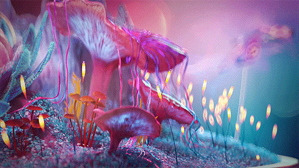 小生物发光世界视觉渲染设计-06.gif
