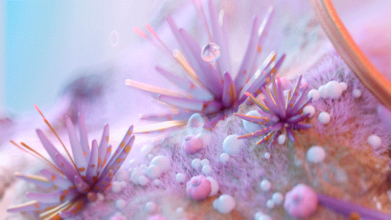 小生物发光世界视觉渲染设计-13.gif