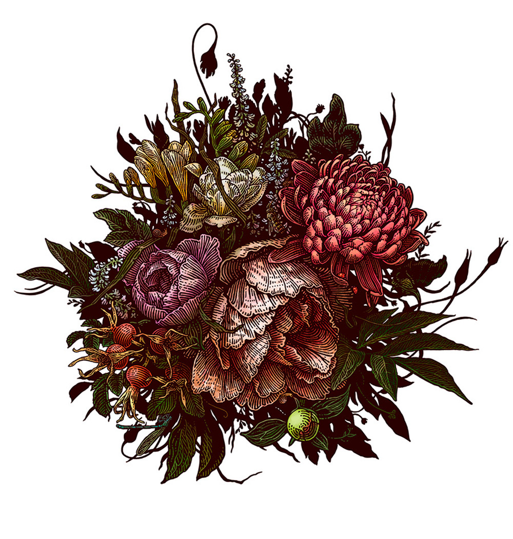 黑白插画-动物植物  乔治亚州-Tatiana Trikoz [18P] (1).jpg