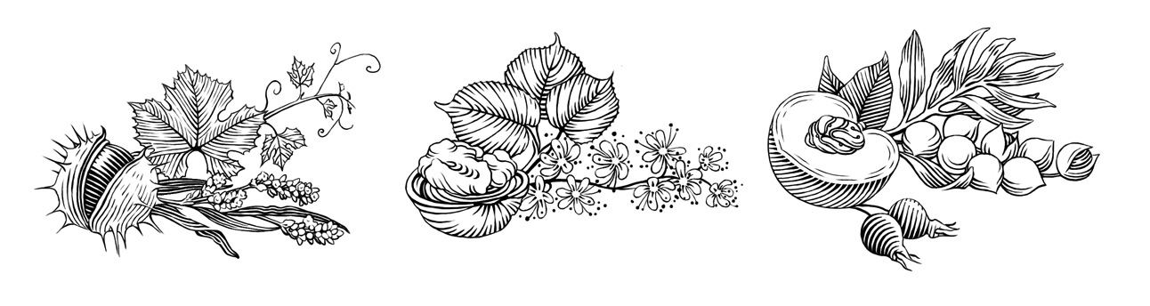 黑白插画-动物植物  乔治亚州-Tatiana Trikoz [18P] (16).jpg