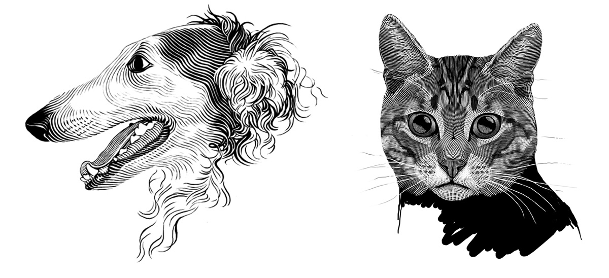 黑白插画-动物植物  乔治亚州-Tatiana Trikoz [18P] (15).jpg