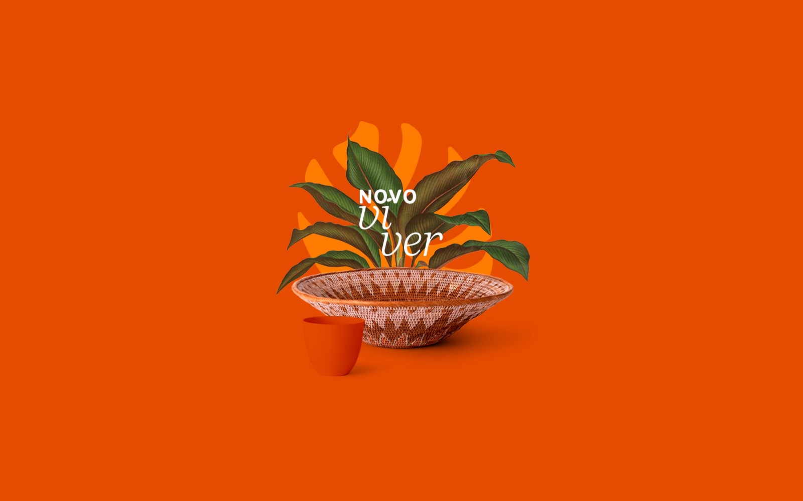 巴西品牌设计-巴西装潢-Decora o电子商务-自然视觉识别-03.jpg