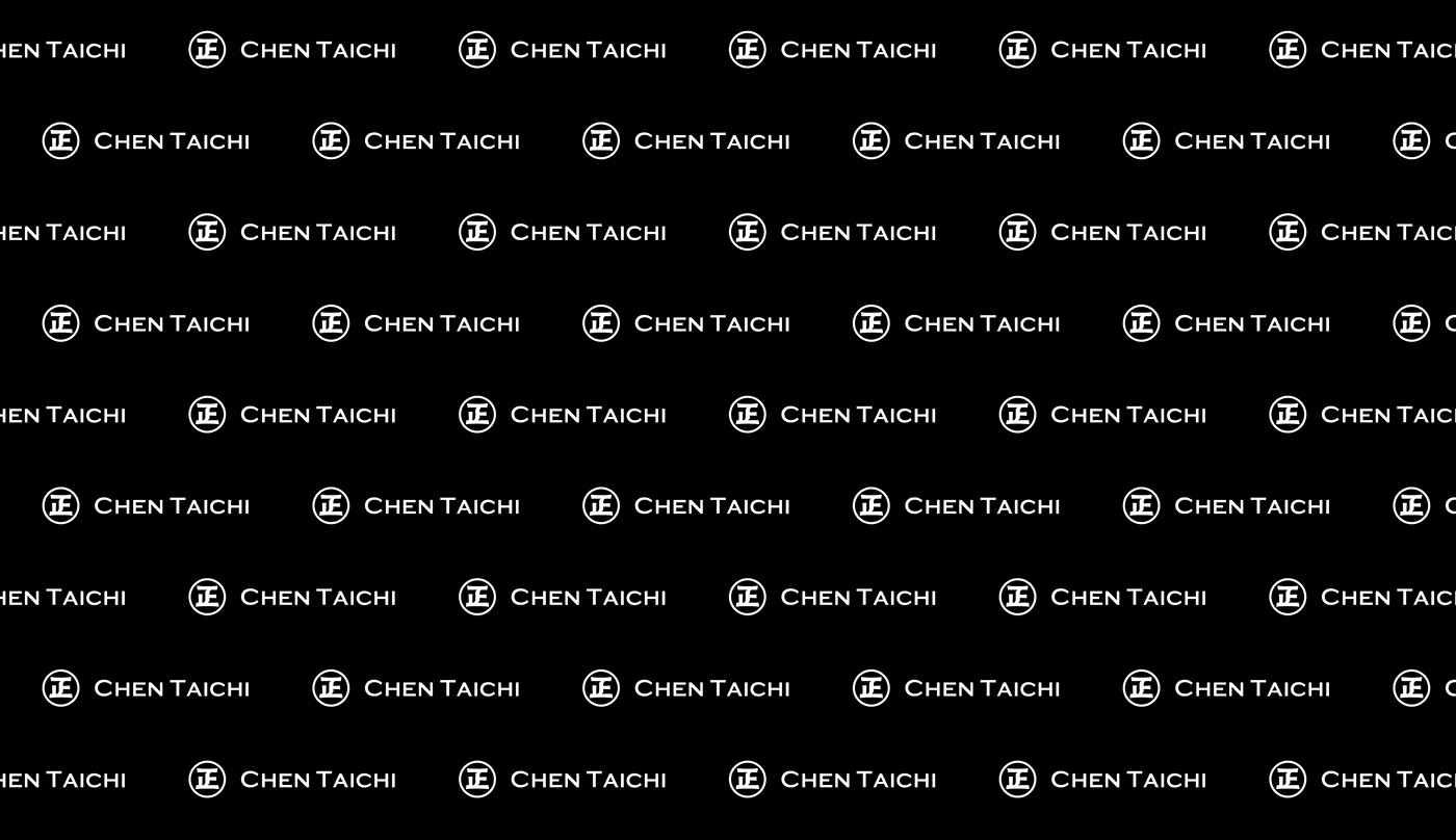 正太极品牌识别 [27P] (8).jpg