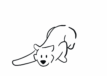 好孩子--天然狗粮-1.gif