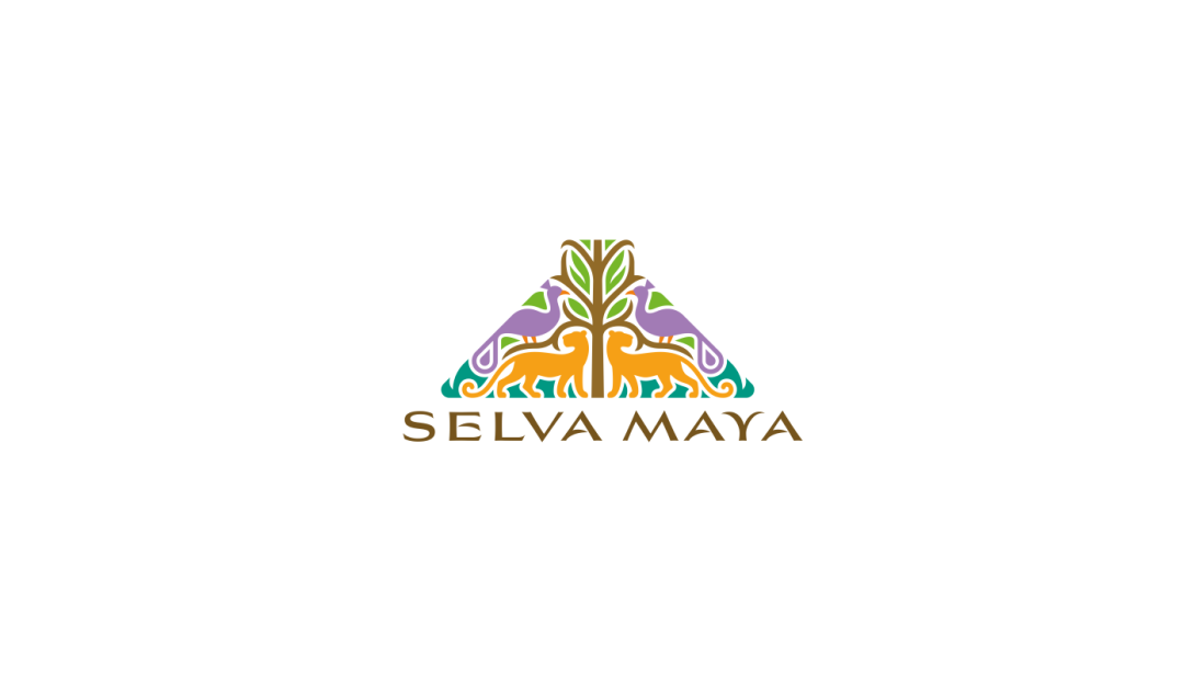 1- (12).png