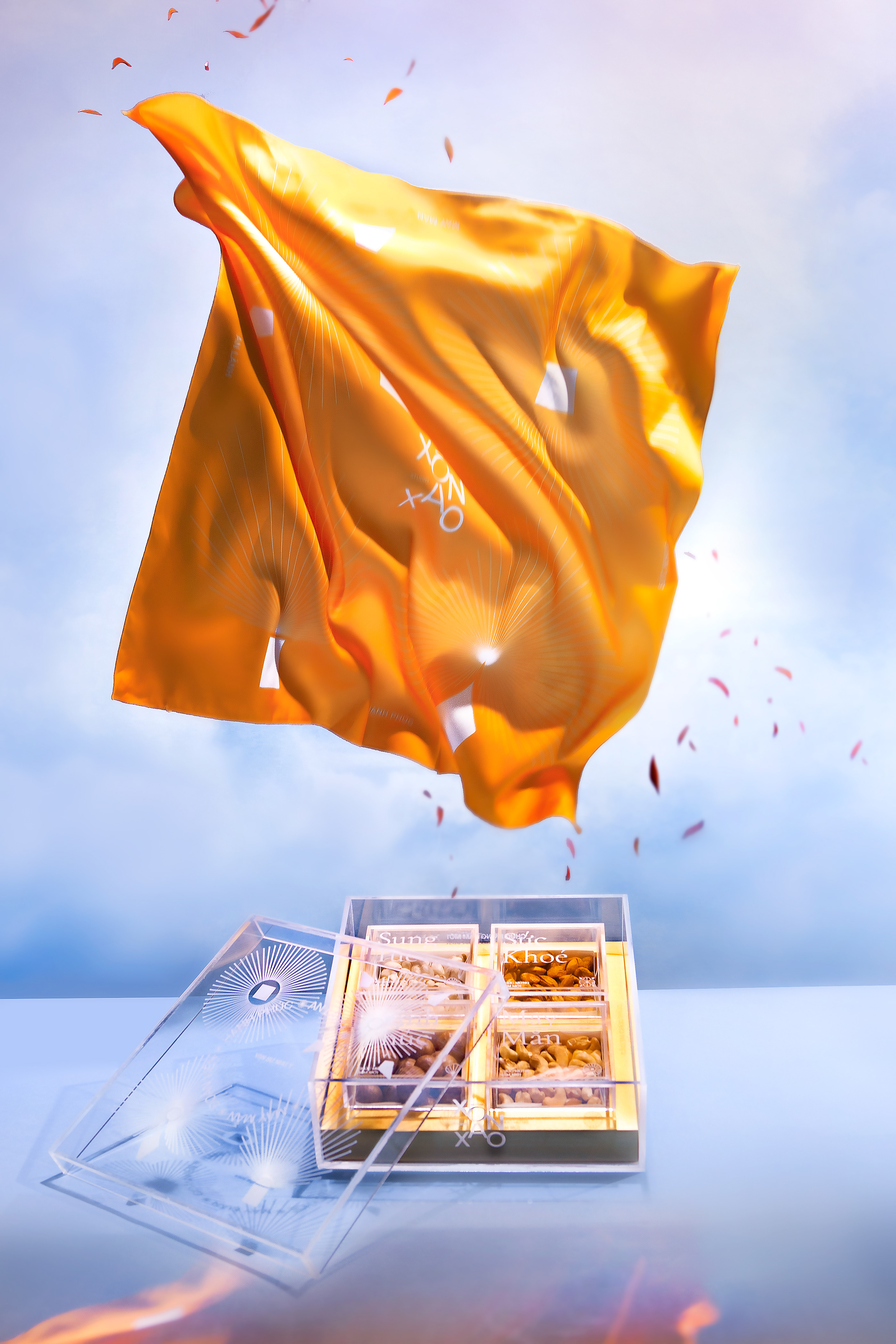 箱体设计礼品盒平面设计幸运新年包装丝带-21.jpg