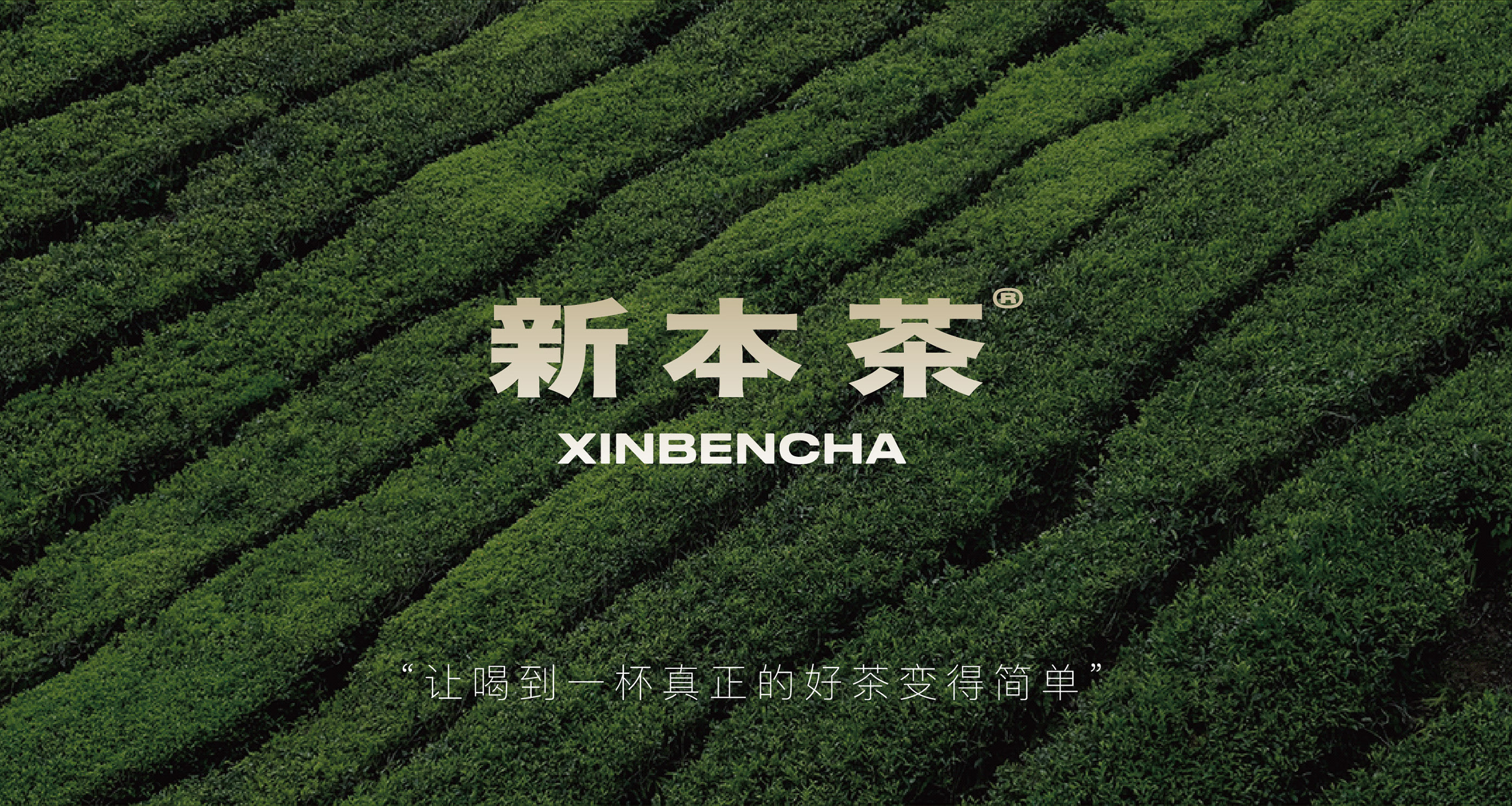 茶品牌包装设计-04.jpg